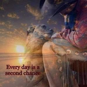 Meet your Posher, Cliff